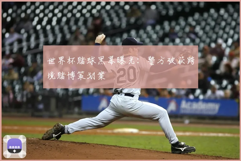 世界杯赌球黑幕曝光：警方破获跨境赌博策划案