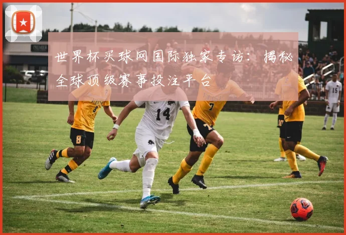 世界杯买球网国际独家专访：揭秘全球顶级赛事投注平台