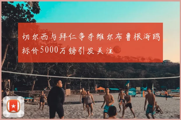 切尔西与拜仁争夺维尔布鲁根海鸥标价5000万镑引发关注