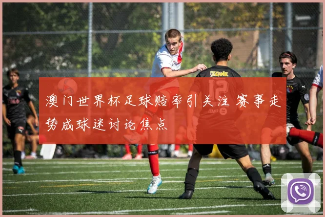 澳门世界杯足球赔率引关注 赛事走势成球迷讨论焦点