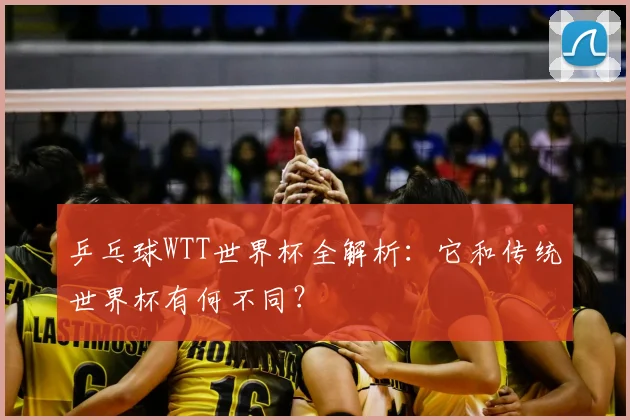 乒乓球WTT世界杯全解析:它和传统世界杯有何不同?