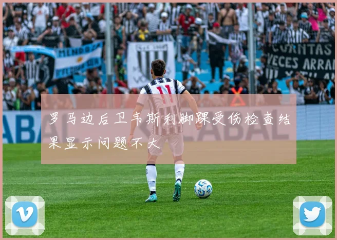罗马边后卫韦斯利脚踝受伤检查结果显示问题不大