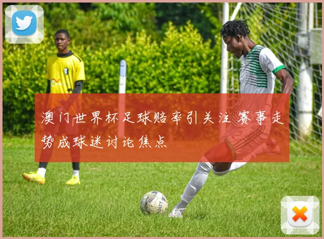 澳门世界杯足球赔率引关注 赛事走势成球迷讨论焦点