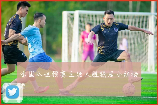 法国队世预赛主场大胜稳居小组榜首