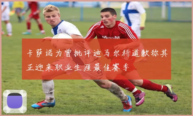 卡萨诺为曾批评迪马尔科道歉称其正迎来职业生涯最佳赛季
