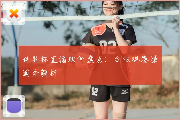 世界杯直播软件盘点:合法观赛渠道全解析