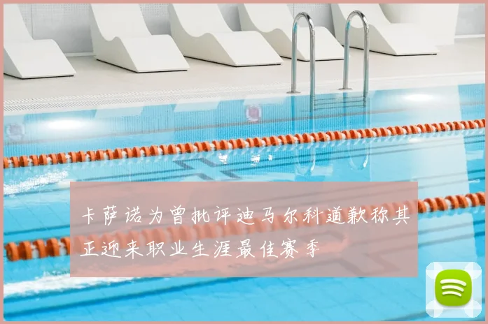 卡萨诺为曾批评迪马尔科道歉称其正迎来职业生涯最佳赛季