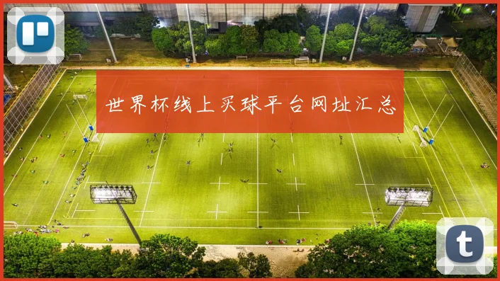 世界杯线上买球平台网址汇总