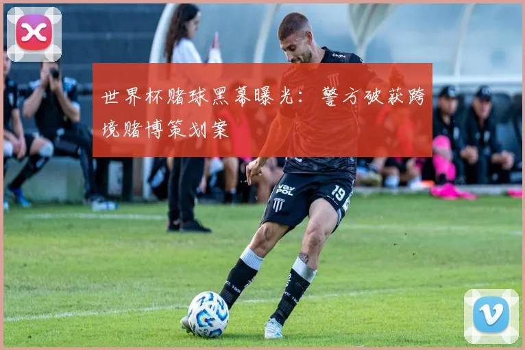 世界杯赌球黑幕曝光：警方破获跨境赌博策划案